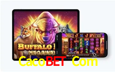 Promoção Relâmpago Cacobet Com